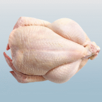 Chicken Meat