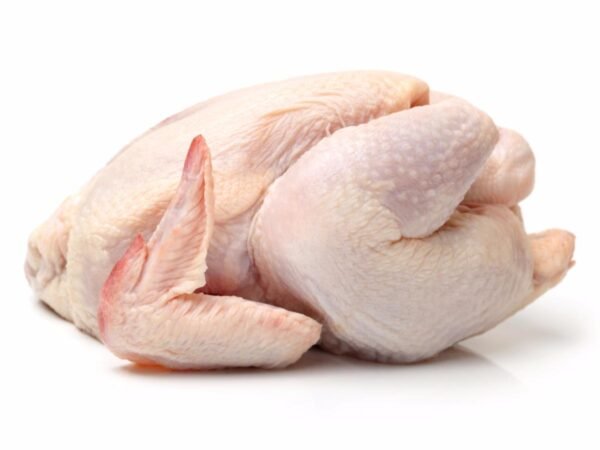 Chicken Meat