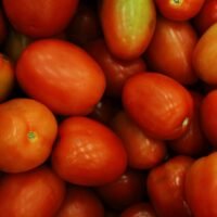 Tomatoes