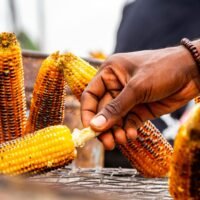 corn